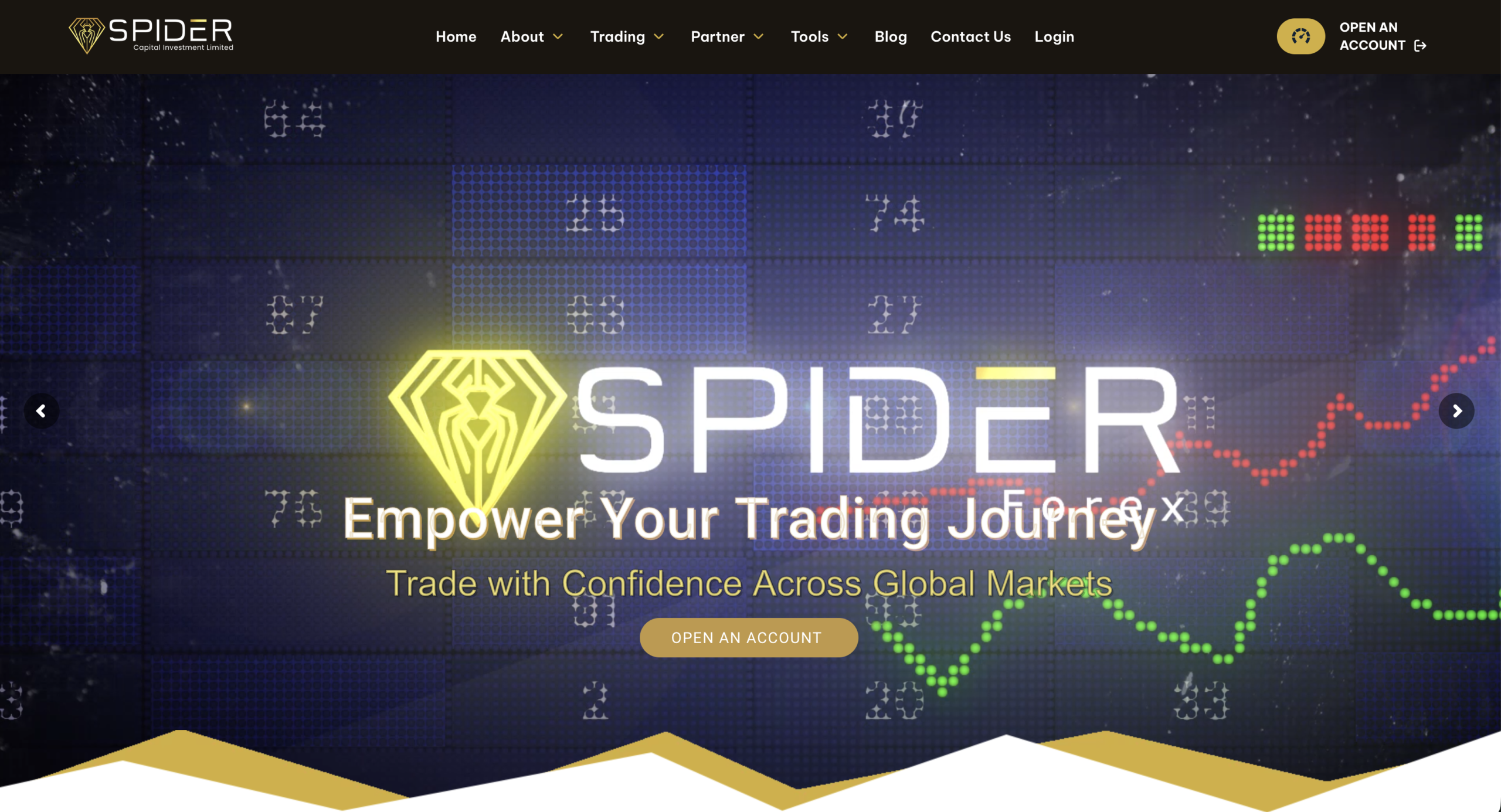 SpiderForex