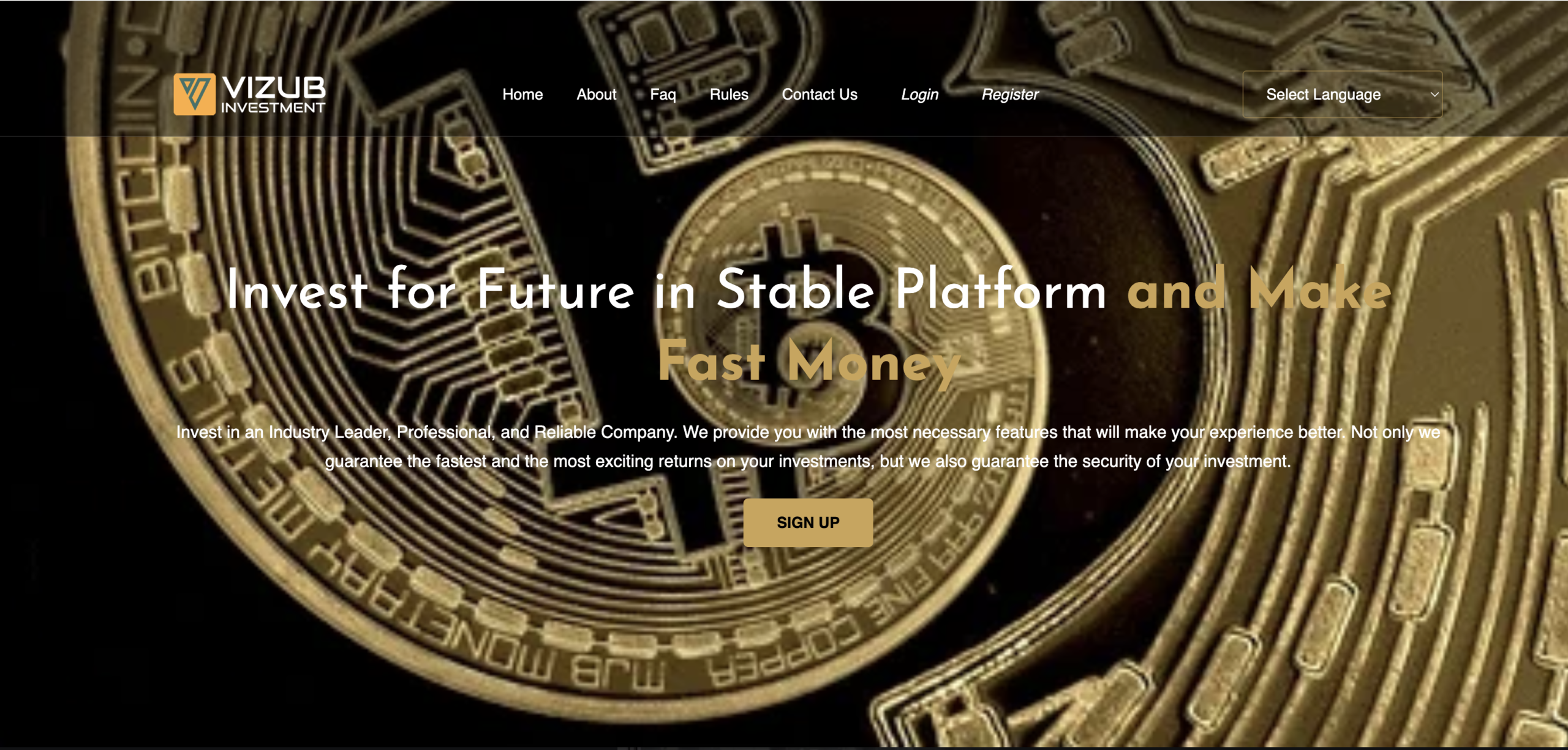 VizubInvestment